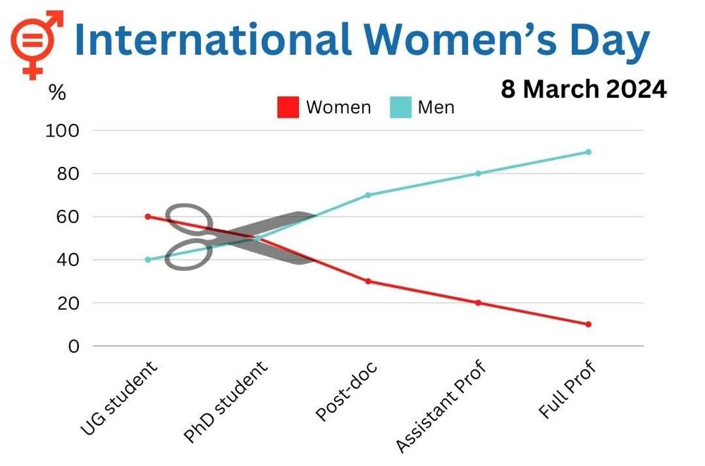 "Scissor Graph" showing men overtaking women in proportional representation in sciences after doctorate 