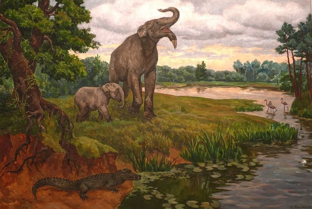 Crocodile on wetlands with an adult and young Deinotherium