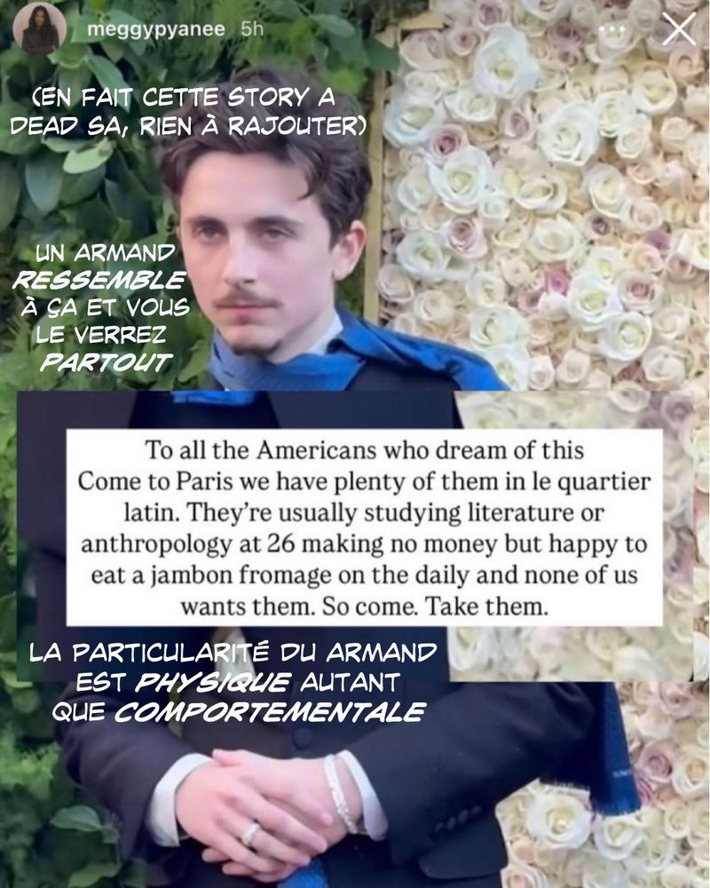 Story hilarante trouvée sur Insta qui décrit le prototype comme pullulant au quartier latin, étudiant la littérature ou l’anthropologie sans gagner sa vie à 26 ans mais content de manger du jambon fromage tous les jours, illustré par une photo de Timothée Chalamet 