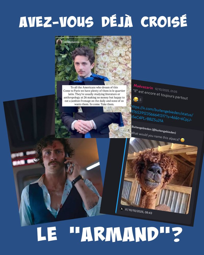 Avez-vous déjà croisé le « Armand »?