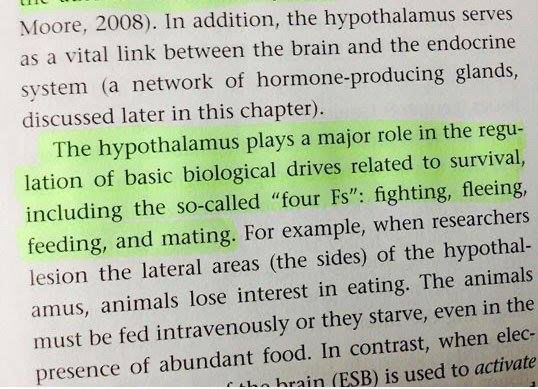 Ausschnitt aus einer medizinischen Publikstion: "The hypothalamus plays a major role in the regulation of basic biological drives related to survival, including the so-called "four Fs": fighting, fleeing, feeding, and mating. ..."