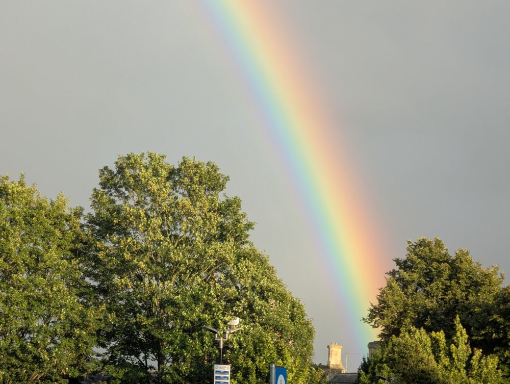 The end of a rainbow emerging from behind leafy green trees, against a grey sky. All seven colours, I reckon! 🌈