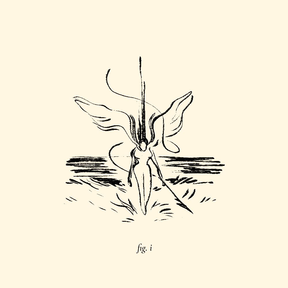 an angel-like figure descending onto a grassy field, a harpoon in hand.