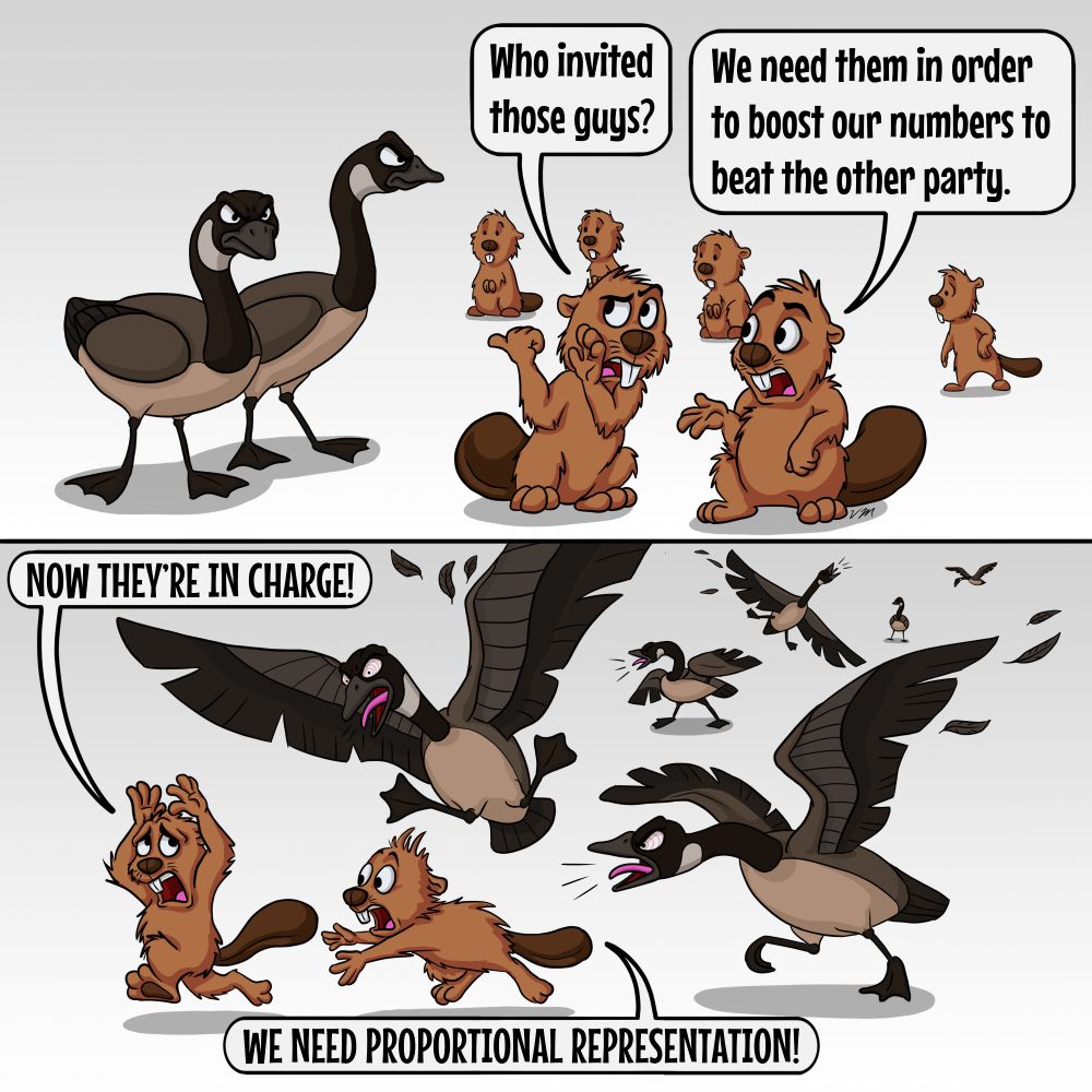 First panel of the cartoon, a couple of Canada geese stand next to a group of beavers. One beaver says to another "why invited those guys?" The other replies "We need them in order to boost our numbers to beat the other party.
Next panel of the cartoon, a bunch of geese are aggressively terrorizing the beavers. One beaver runs away, saying about the geese, "Now they're in charge!" The other beaver yells "We need proportional representation!"