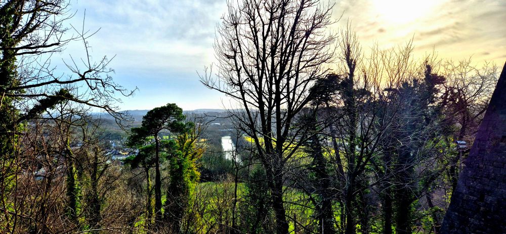 View of river and trees from Castell Coch 