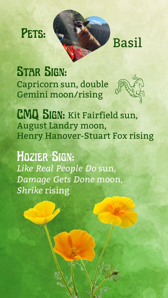 A green watercolor background superimposed with California poppies at the bottom and a heart-shaped picture of a dog, along with text reading
Pets: Basil
Star sign: Capricorn sun, double gemini moon/rising
CMQ sign: Kit Fairfield sun, August Landry moon, Henry Hanover-Stuart Fox rising
Hozier sign: Like Real People Do sun, Damage Gets Done moon, Shrike rising