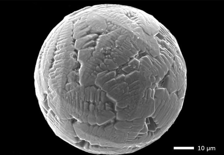 Elektronenmikroskopische Aufnahme eines 240 Millionen Jahre alten kugelförmigen Mikrometeorits mit Oberflächenstrukturen, die bei der Interaktion mit der Erdatmosphäre entstehen. Der Mikrometeorit misst nur einen Bruchteil eines Millimeters. (Copyright: Fabian Zahnow)

