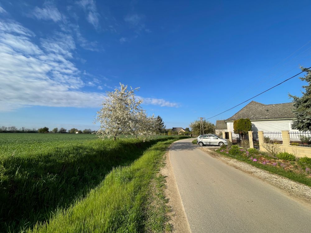 The photo shows blue sky above and a road stretching into the distance. The outskirts of Várda, a village embedded in an agriculture-dominated landscape near the city, Kaposvár, Hungary. Image thanks to Tamas Lakatos 