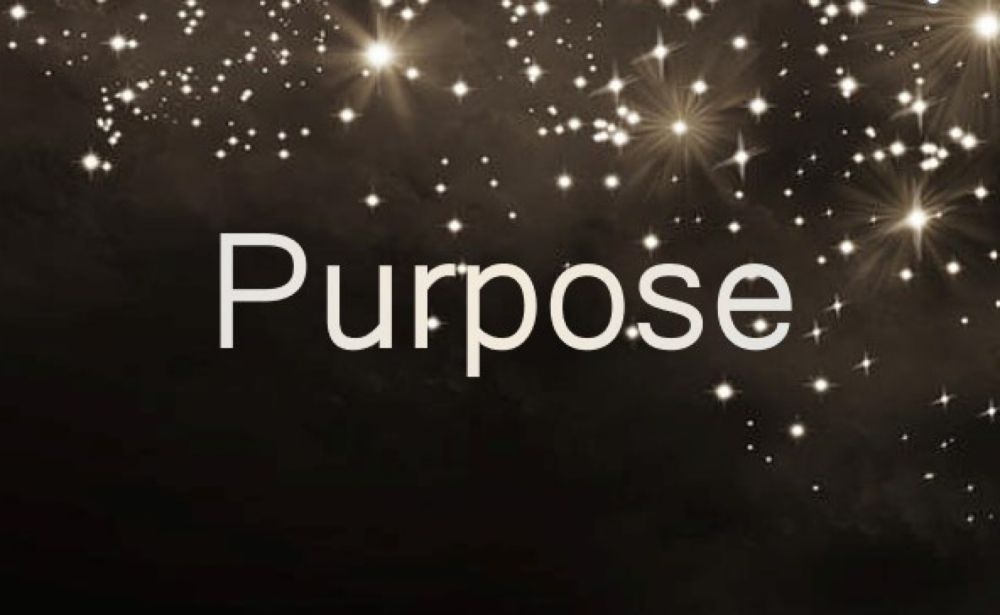 Purpose