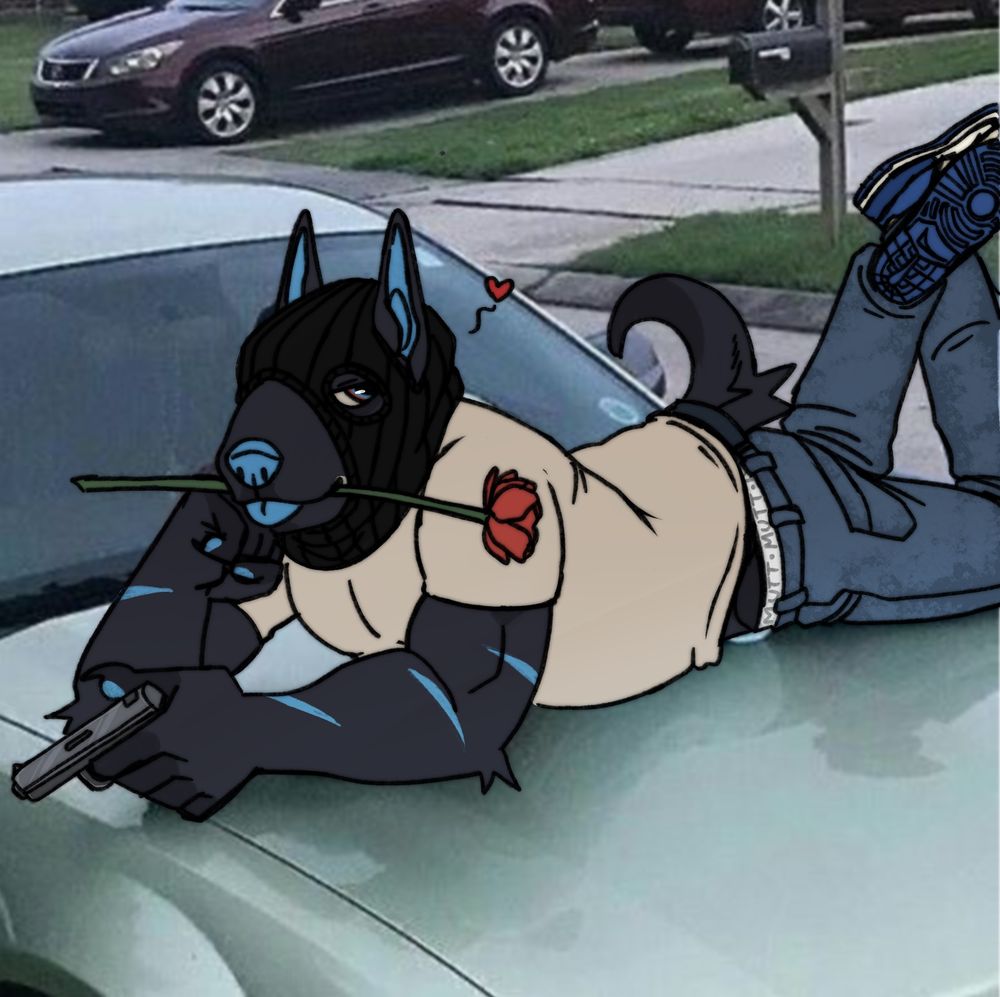 Guy the bull terrier, laying across a car hood with a rose in his mouth, a ski mask over his head, and a gun in his hand. It’s a draw over of an actually image.