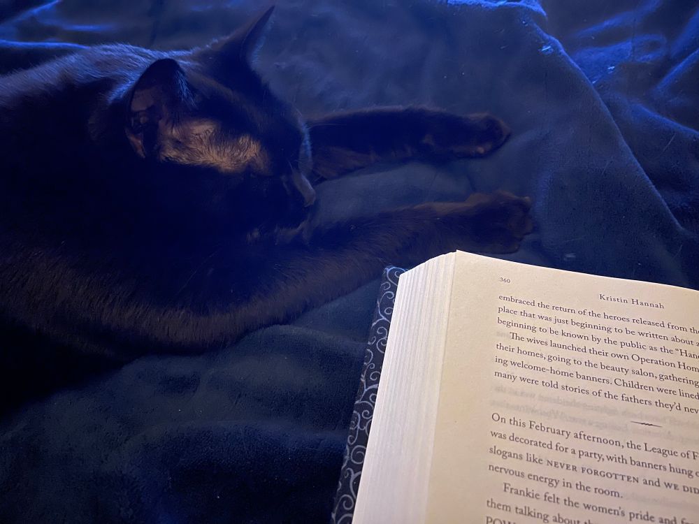 Our bombay cat, Carbon, laying on the heated blanket with her paws extended. Next to her is an opened hardback of The Women by Kristin Hannah