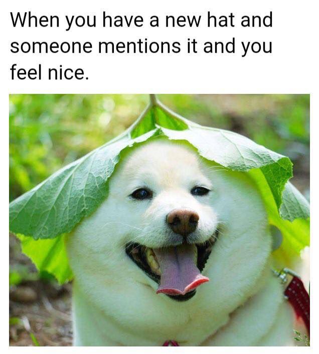 Comment image