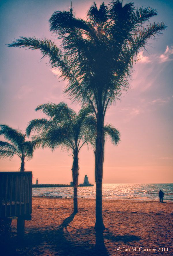 Palm trees on the beach in front of the Beach House restaurant in Port Dover. The sky is pink in the late afternoon sun and Lake Erie sparkles. In the distance, there's a small lighthouse on the pier.