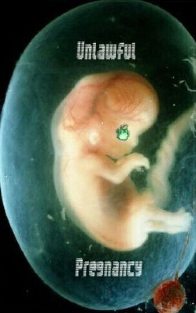 The book cover, a fetus grows not knowing that it just might hold the fate of the world. Even an unborn child can start a revolution.