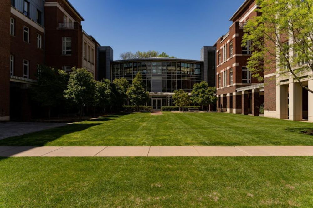 Lawyers, financiers, teachers, students and, yes, Olympic swimmers belong on the search committee. But, surely, faculty members who carry out a core mission of the University belong there, too.
