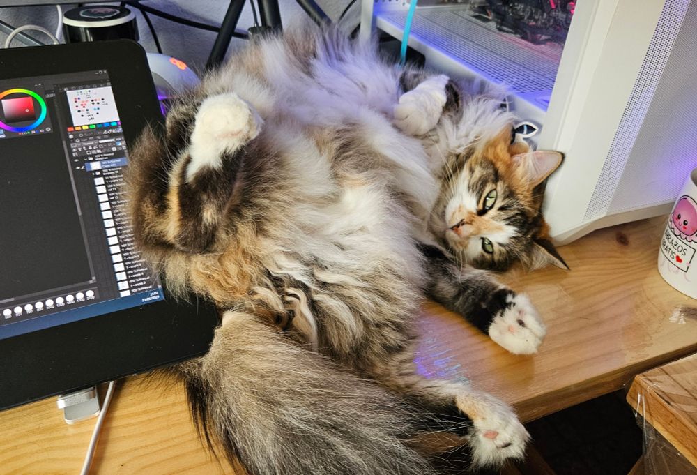 Mochi lying anyway in the small desk space she's found