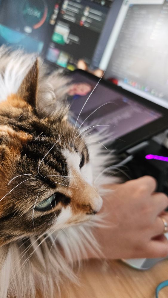 My cat Mochi laying on my desk in front of the tablet, being the best coworker ever seen.