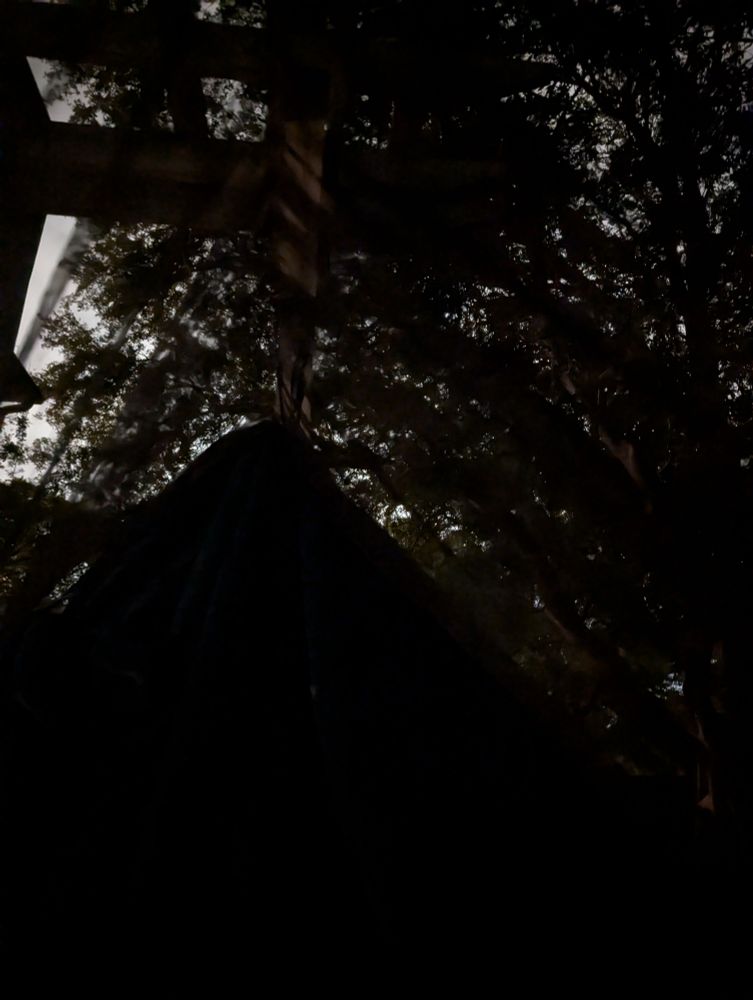 sleeping out in the hammock 
