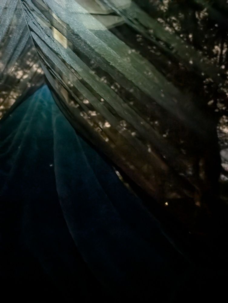 sleeping out in the hammock 