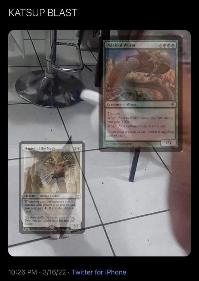 Cat about to be squirted by ketchup. But two magic the gathering cards superimposed on top of each. The worm is about to blast the soldier.