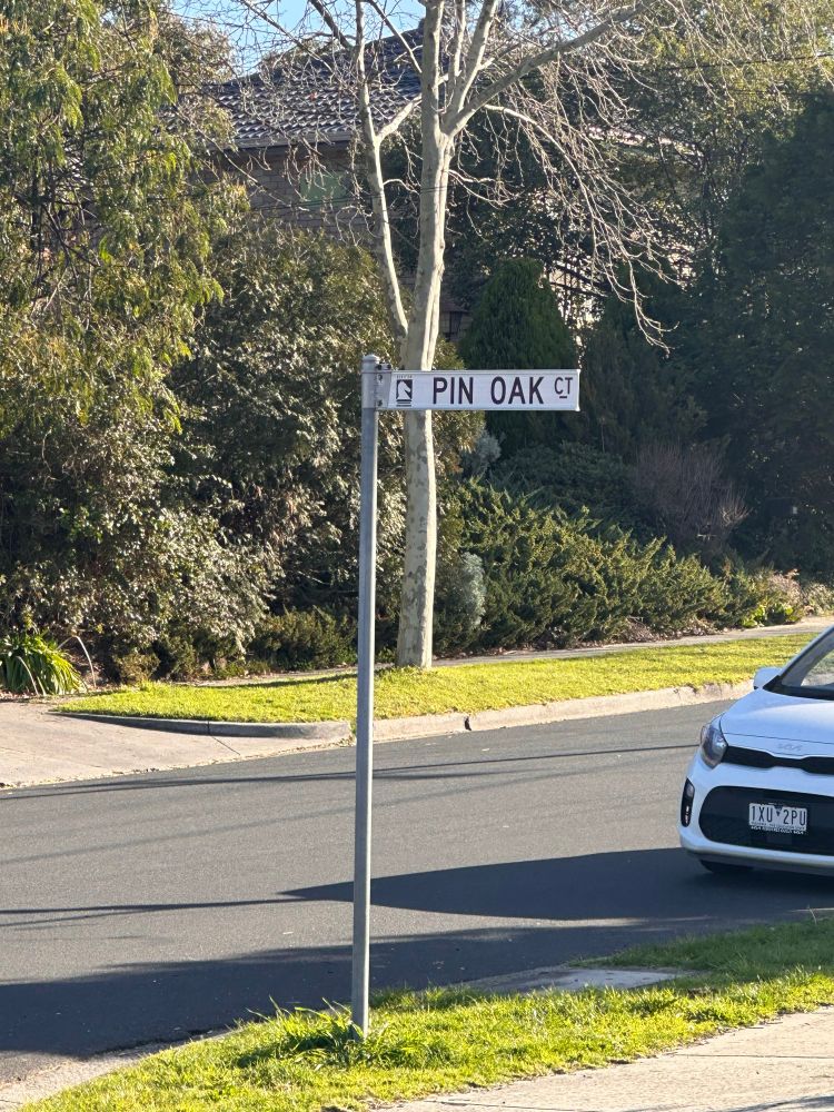 A street sign that says Pin Oak Court.  If you know, you know.