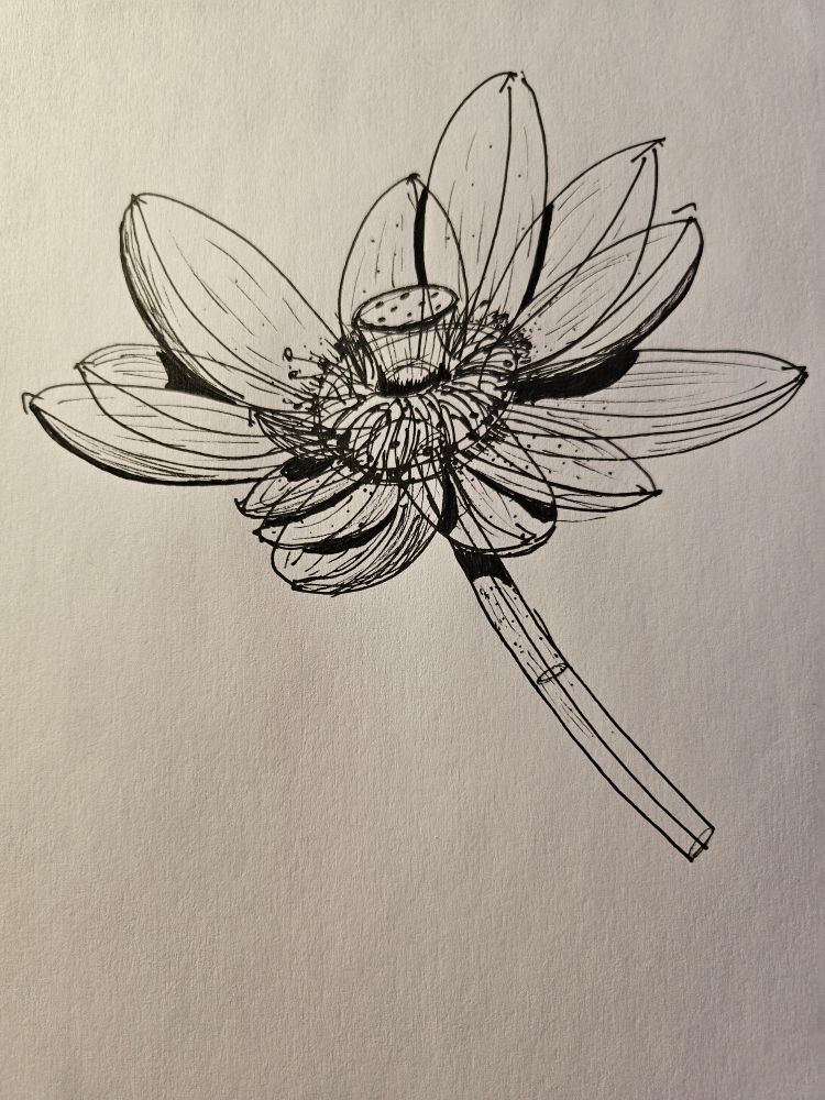 flower with focus on petal construction