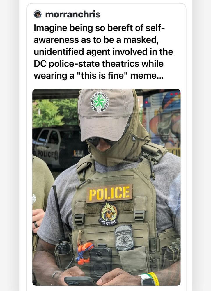 morranchris on threads:

Imagine being so bereft of self-awareness as to be a masked, unidentified agent involved in the DC police-state theatrics while wearing a "this is fine" meme...

Pic is of a law enforcement officer wearing a brew republic hat 
