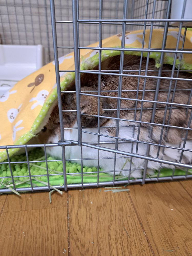 寝てます
