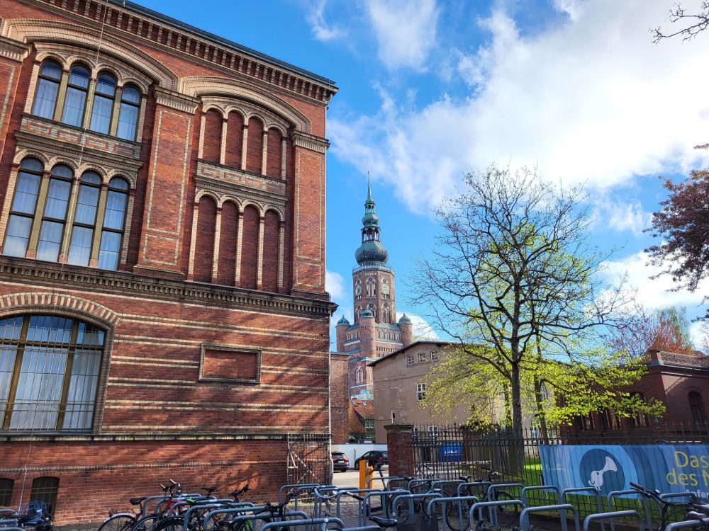 View from Old University Library to the cathedral in Greifswald 