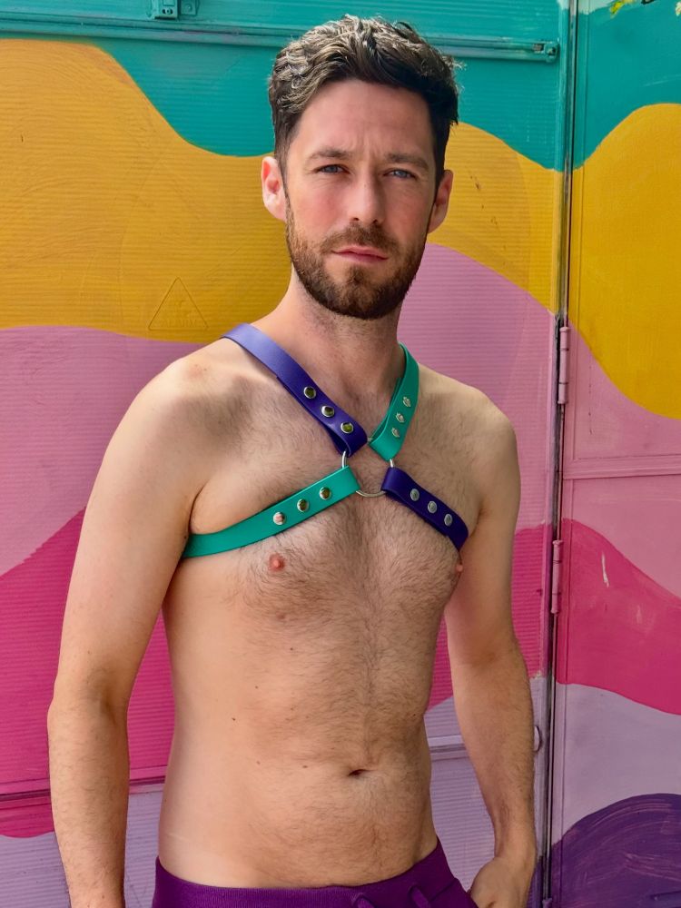 @topher.gay in our x harness customised in purple and teal