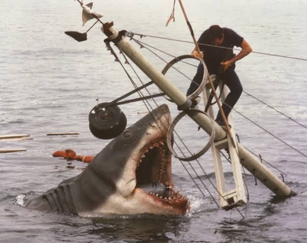 Still from the film "Jaws". 
