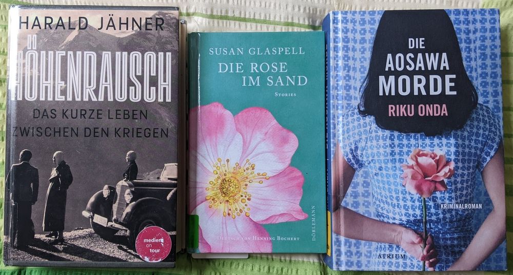 Harald Jähner - Höhenrausch
Susan Glaspell - Die Rose im Sand
Riku Onda - Die Aosawa-Morde