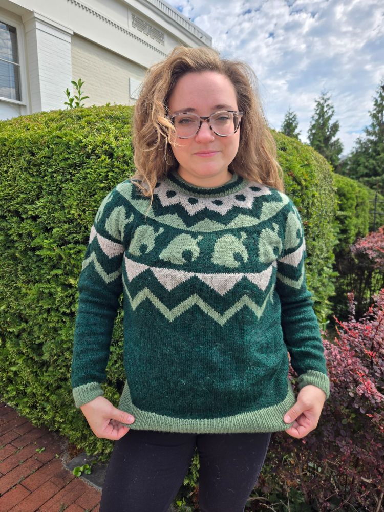 The sample for Tomnooki Lite worn by a woman standing in front of a hedge. It is knit in Isabelle inspired palette.