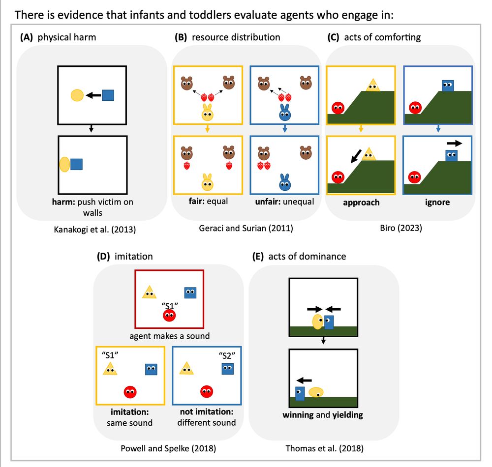 Examples of social behaviors that infants and toddlers evaluate: physical harm, resource distribution, acts of comforting, imitation, and acts of dominance