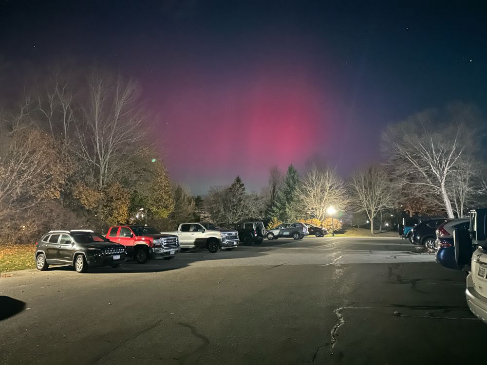 Northern lights over trees in Maine. 