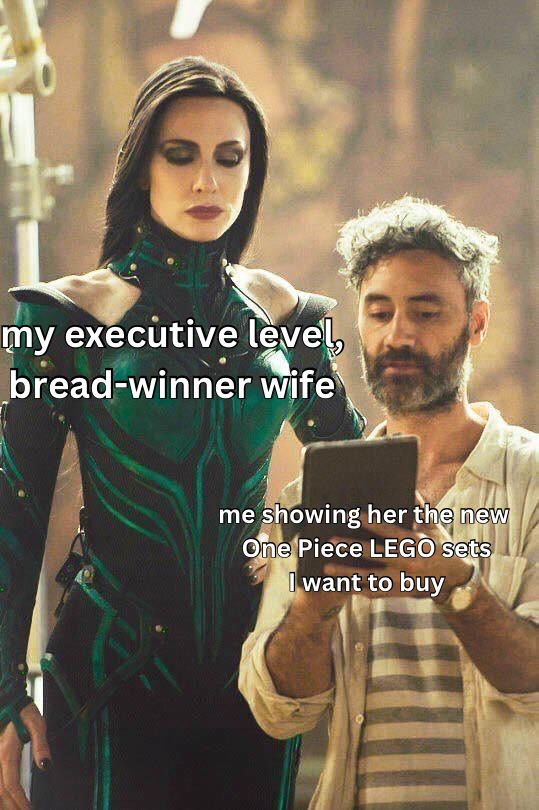 A meme of Cate Blanchet as Hela looking over the shoulder of Taika Waititi while making a Thor Ragnarok.

Cate has the label “my executive level, bread-winner wife”

Taiki, holding a tablet, has the label “me showing her the new One Piece LEGO sets I want to buy”