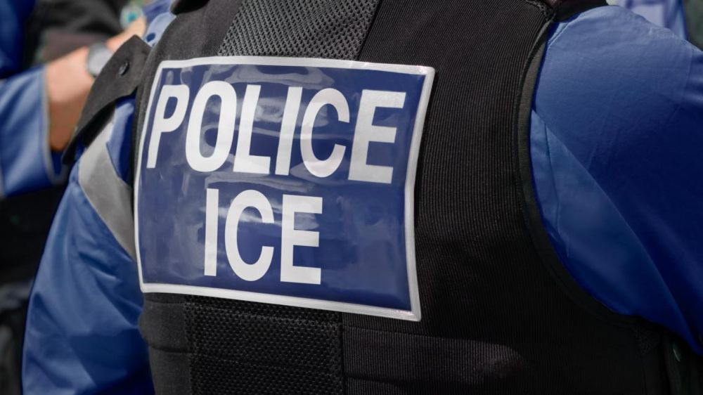 Federal prosecutors told a judge they had failed twice to secure an indictment against Sydney Lori Reid for allegedly assaulting an FBI agent during an ICE arrest.