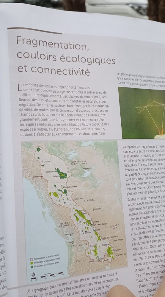 Aperçu de l'article "fragmentation, couloir écologique et connectivité"