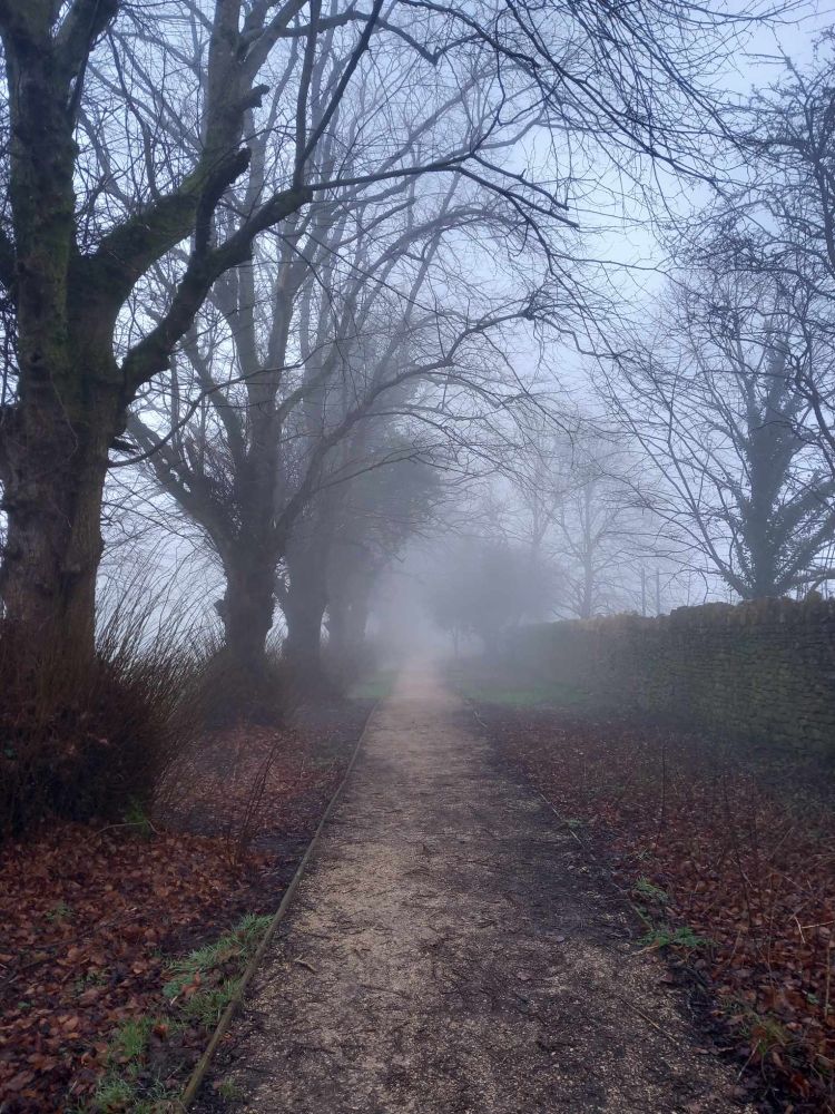 Misty pathway