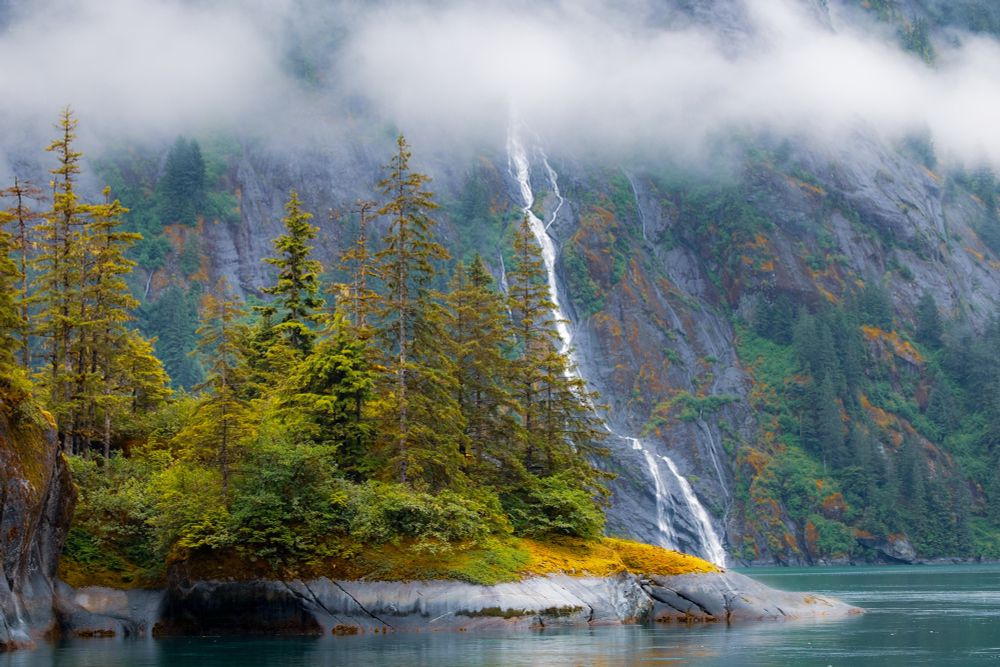 A colorful penensula of trees with a long dramatic waterfall in the background 