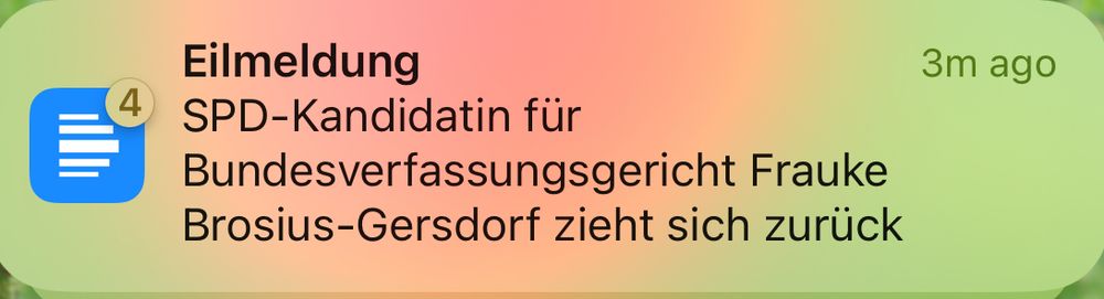 Eilmeldung: SPD-Kandiadatin für Bundesverfassungsgericht Frauke Brosius-Gersdorf zieht sich zurück 