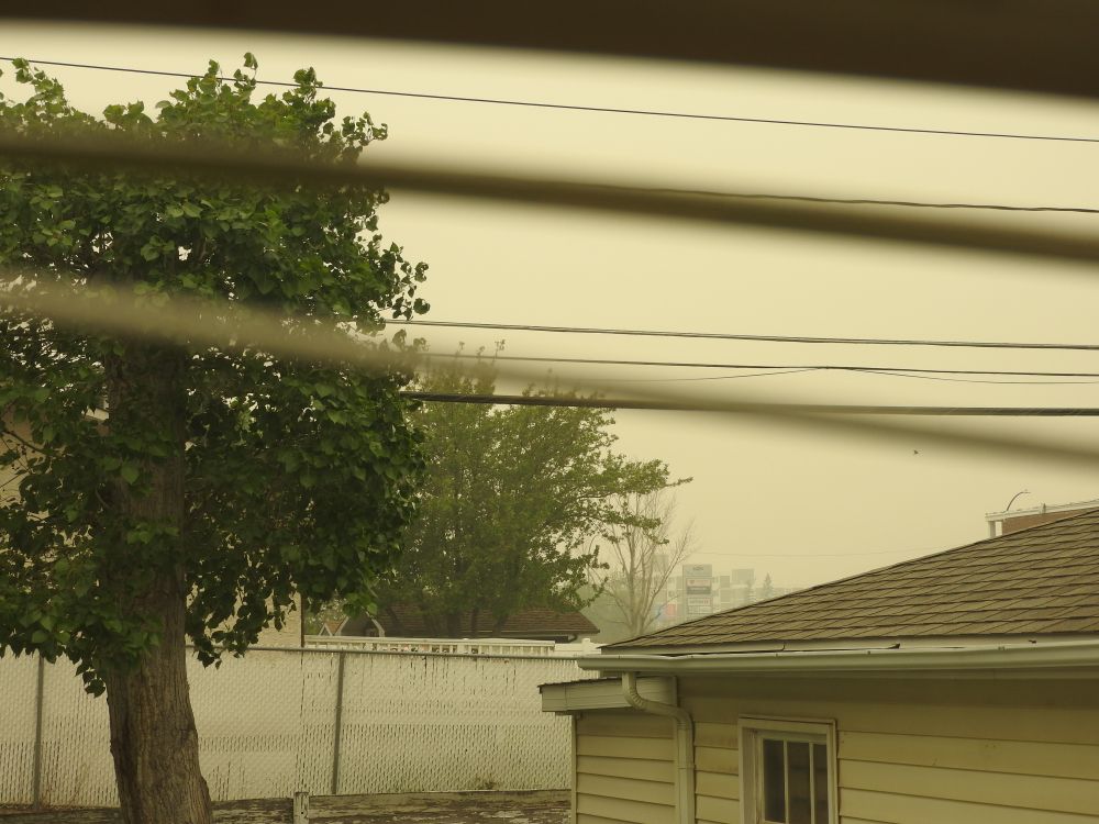 a picture looking out a window showing low visibility outside caused by wildfire smoke