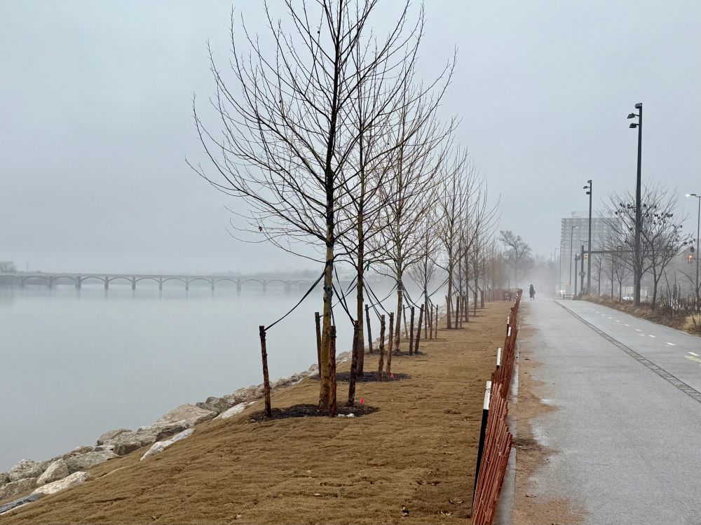Foggy river path in Tulsa
