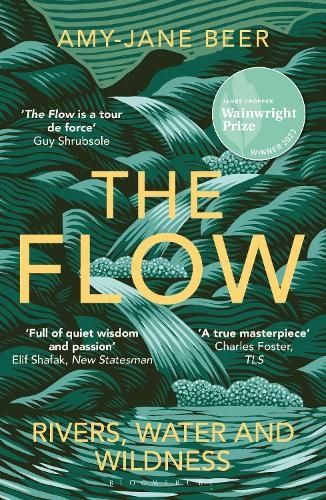 Image of the cover of Amy-Jane Beer's The Flow