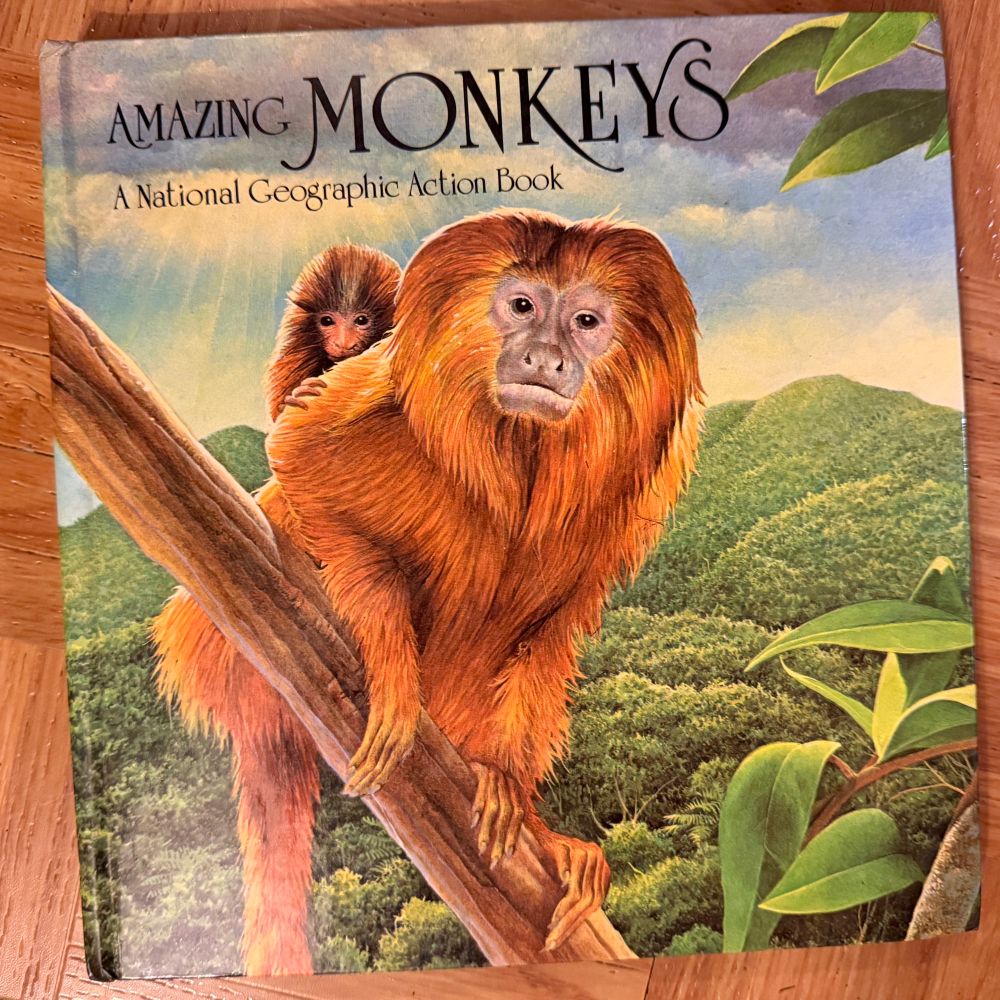 AMAZING MONKEYS - A NATIONAL GEOGRAPHIC ACTION BOOK (1985), paper engineers James Roger Diaz, John Strejan, and Rodger Smith.