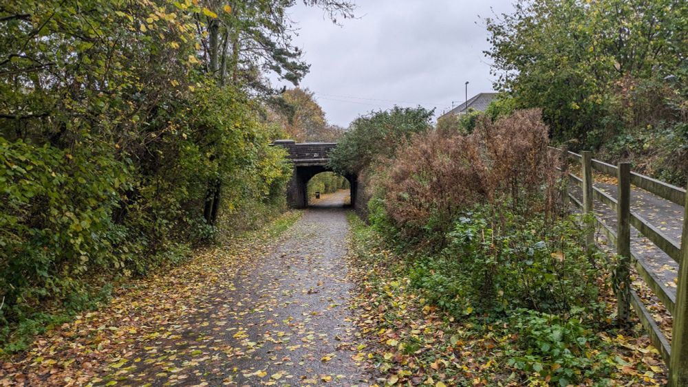 A leaf-strewn path