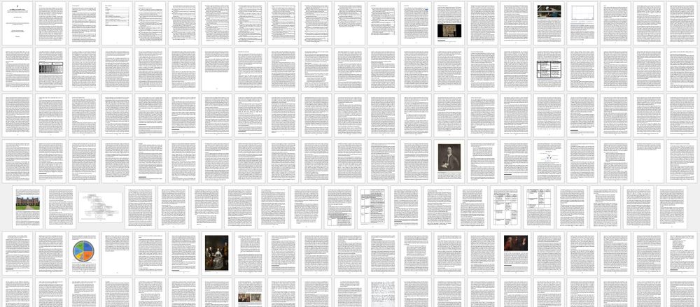 A screenshot from Microsoft Word, showing hundreds of pages of text and images neatly aligned, at 20% magnification. 