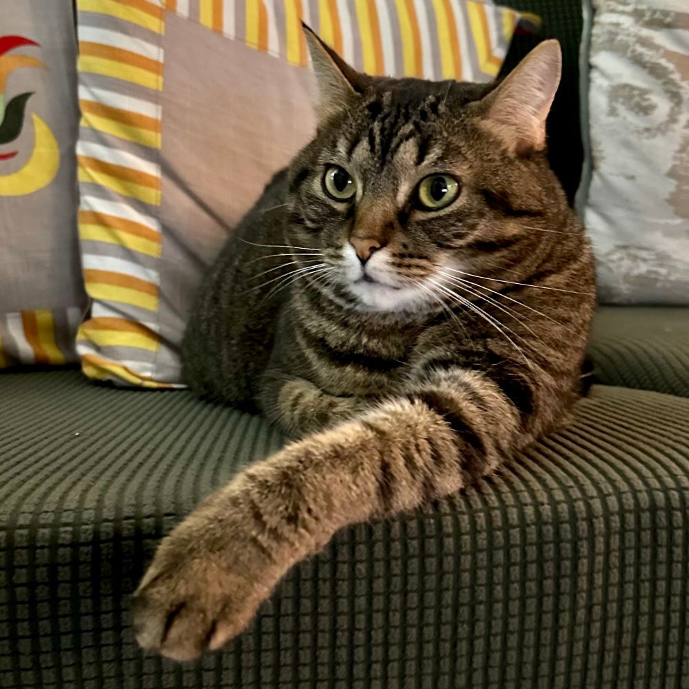 Fiona desmonsrrates the state of Zen. Or not giving a flying one. 