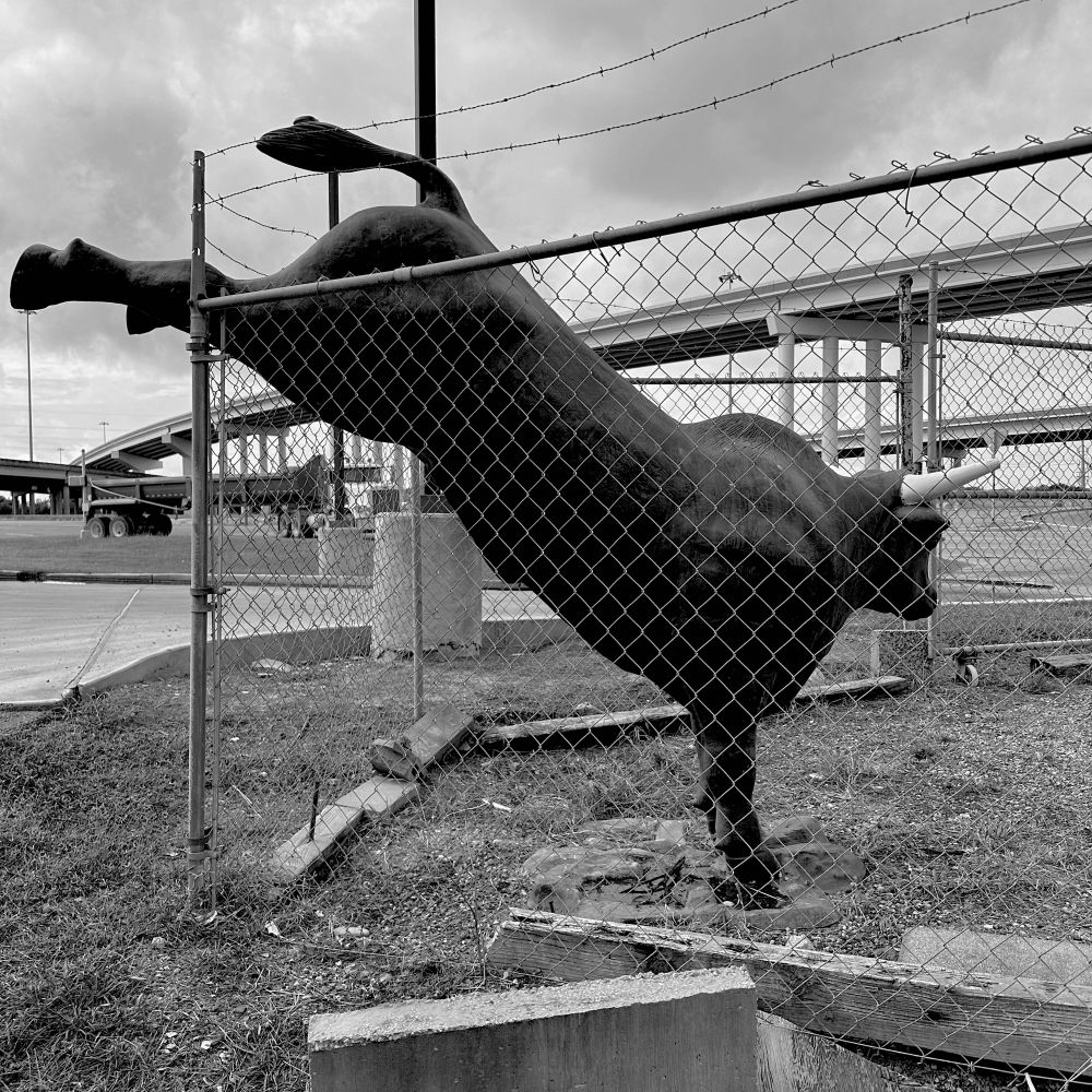 11/1/2024 Ingleside Texas