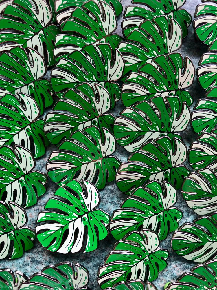 Enamel pins of a variegated monstera leaf, they are 50mm nickel metal with white/very light green screenprint 